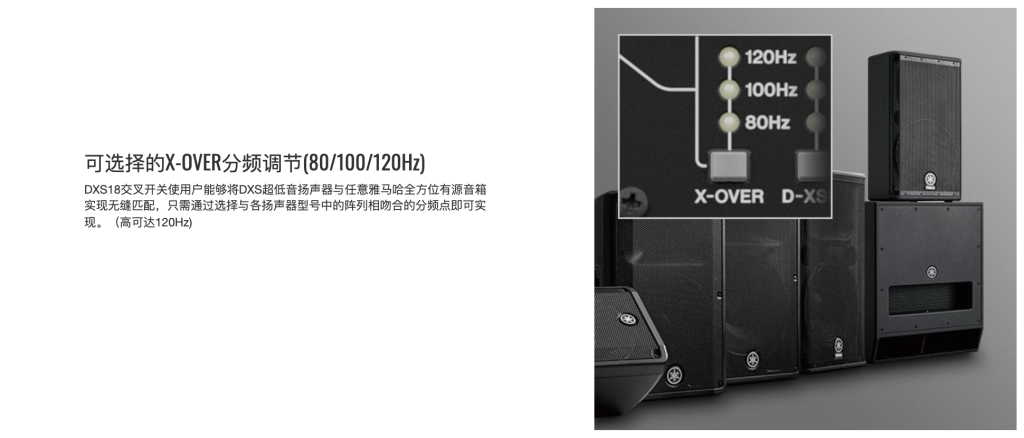 DXS系列插圖12